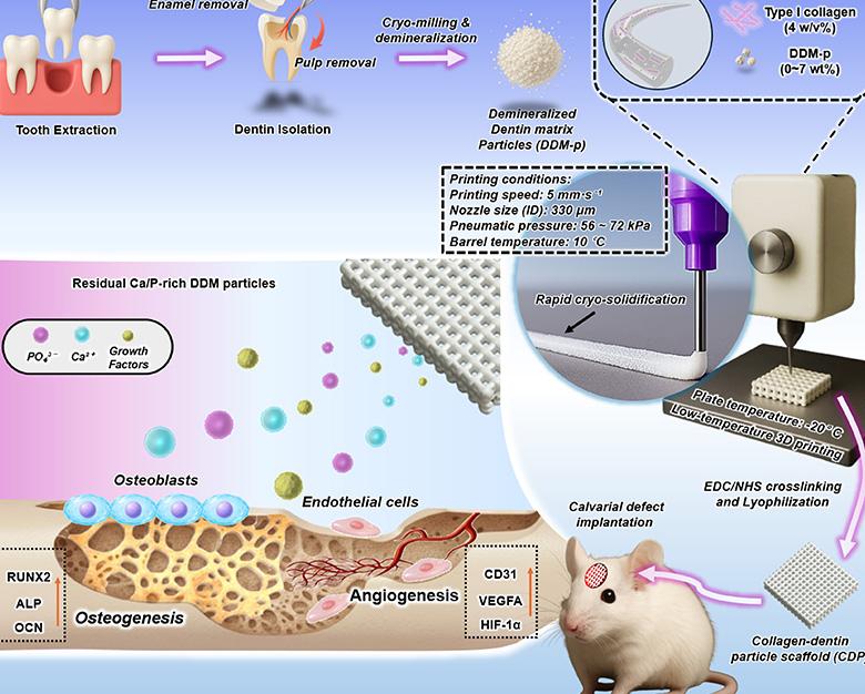 논문 관련 내용