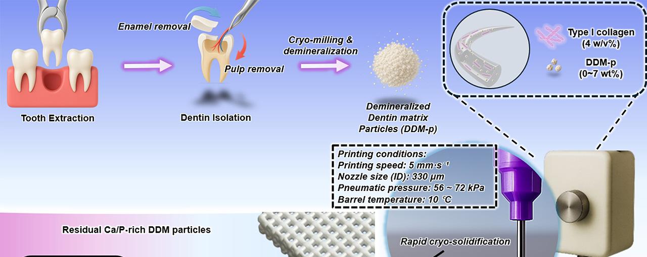 논문 관련 내용